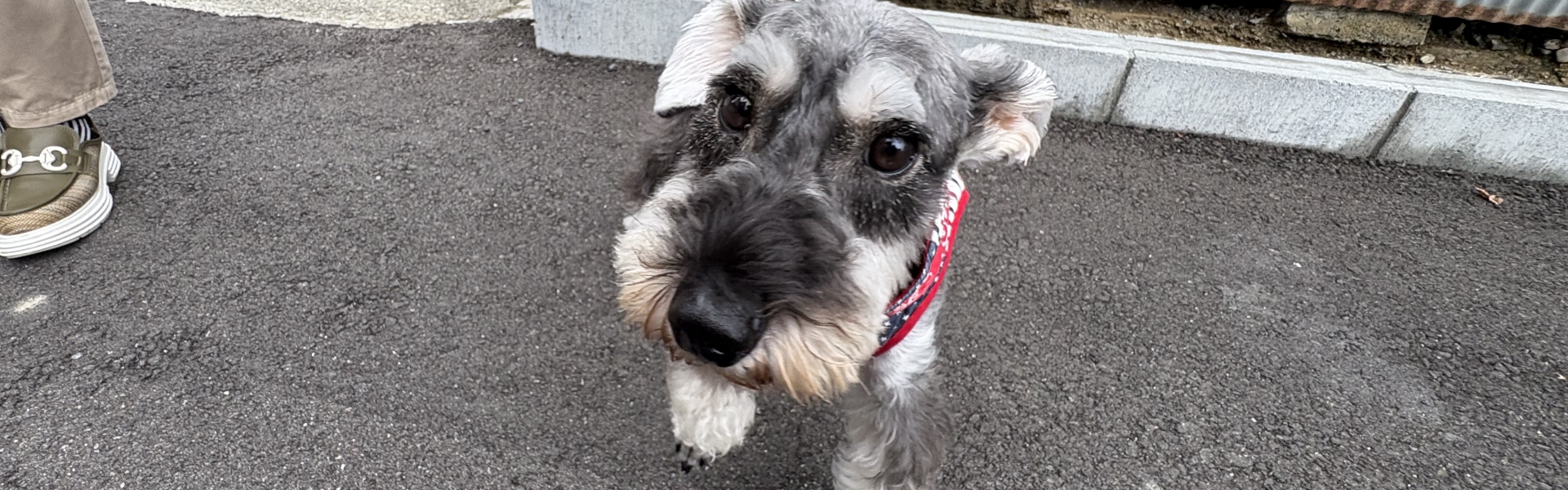 プライバシーポリシー